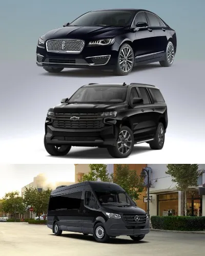 Night-Out Transportation from Burnaby